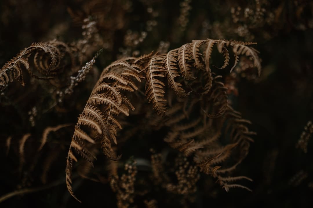 漳浦开渔 千帆竞发赴蓝海